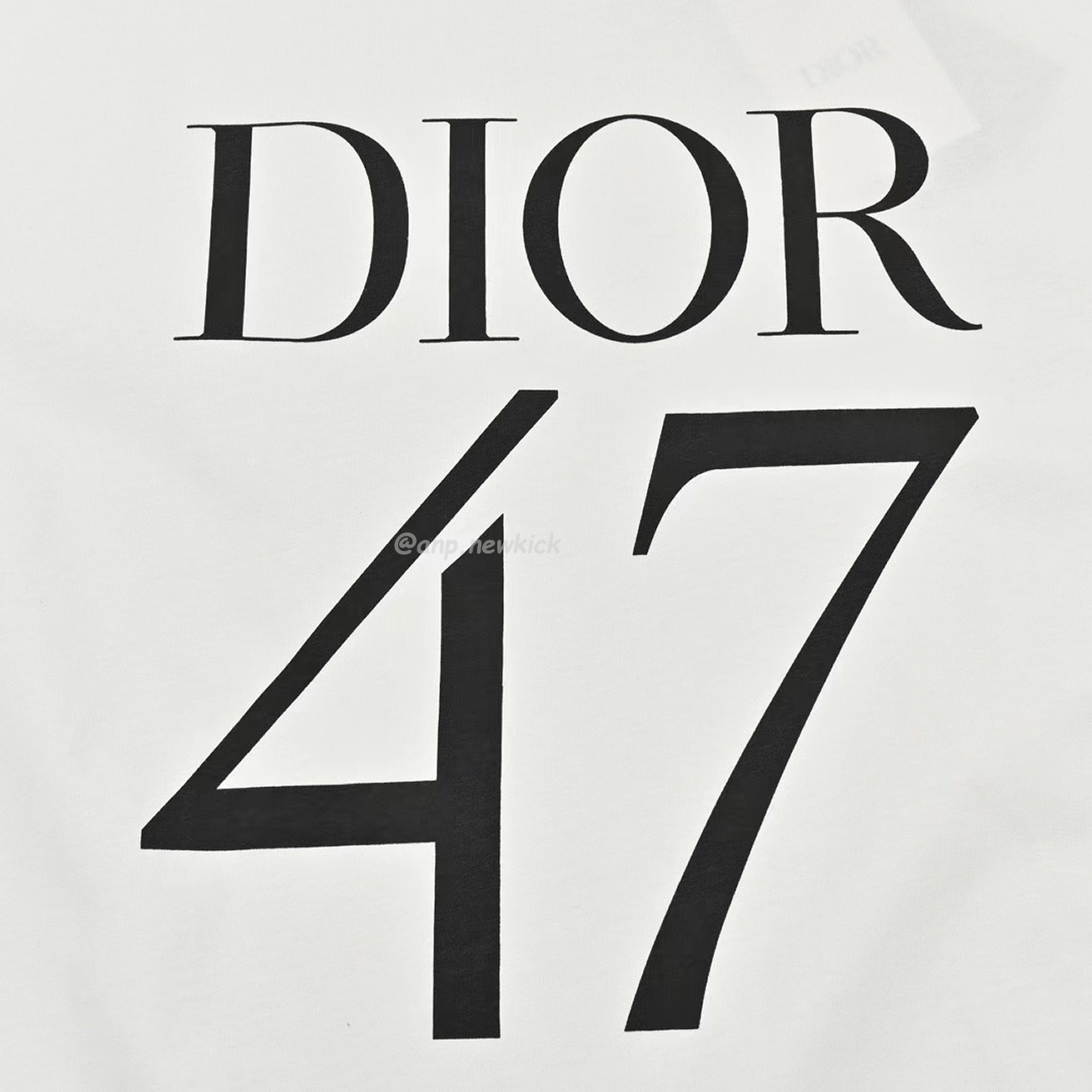 Dior Wide Body Bamboo Pure Cotton Plain Weave Fabric T Shirt White Navy (9) - newkick.cc